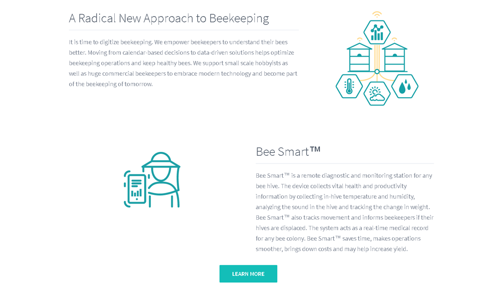 Bee Smart Tech - Info