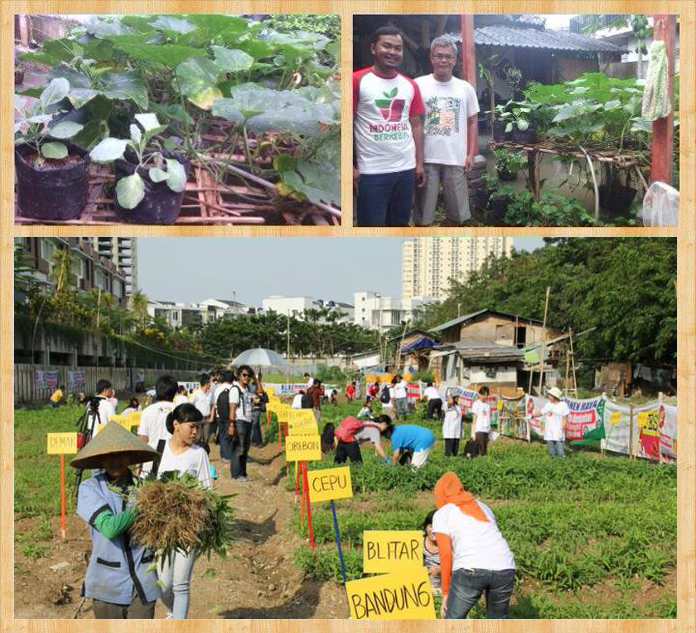 Indonesia Gardening