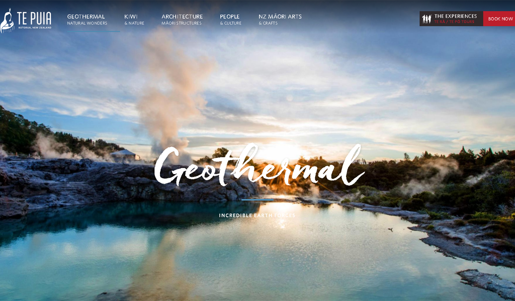 Te Puia - Geothermal