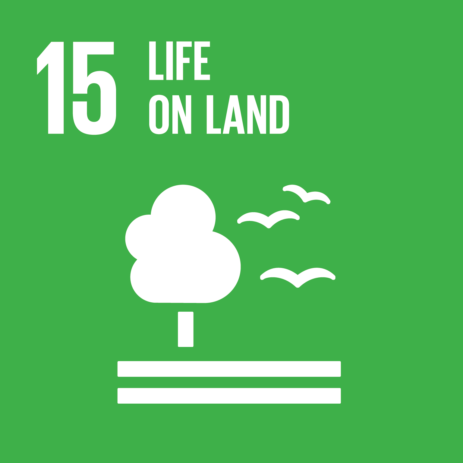 SDG 15: Life on Land