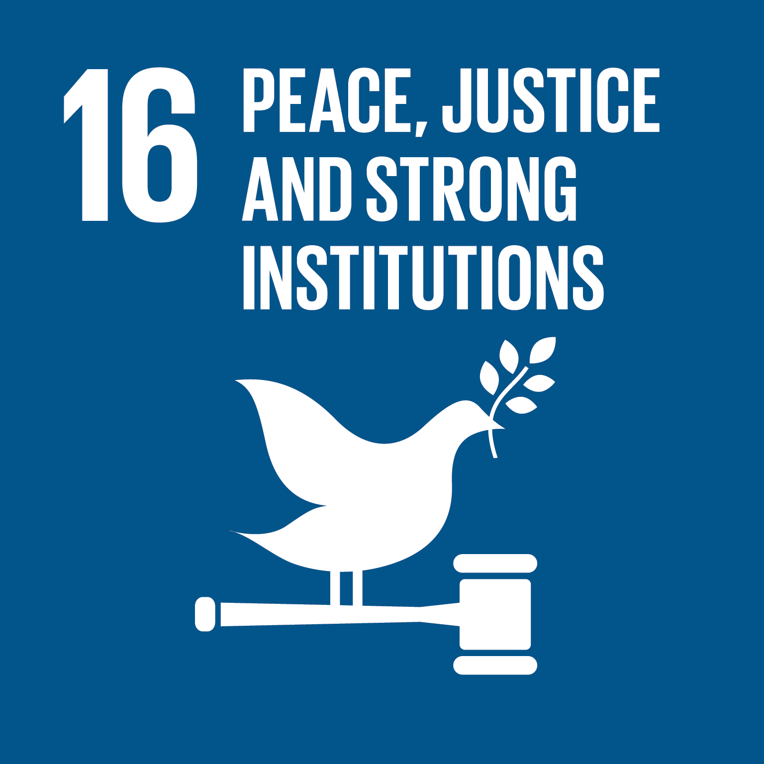 SDG 16: Peace, Justice and Strong Institutions